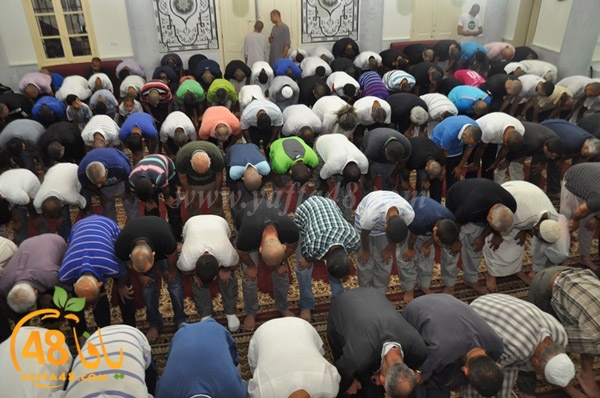 tarawee7 salah nozha (5).JPG